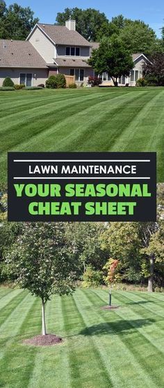 Outdoor, Sprinklers, Garden Care, Norfolk, Gardening, Lawn Care, Lawn Care Tips, Lawn Care Schedule, Spring Lawn Care