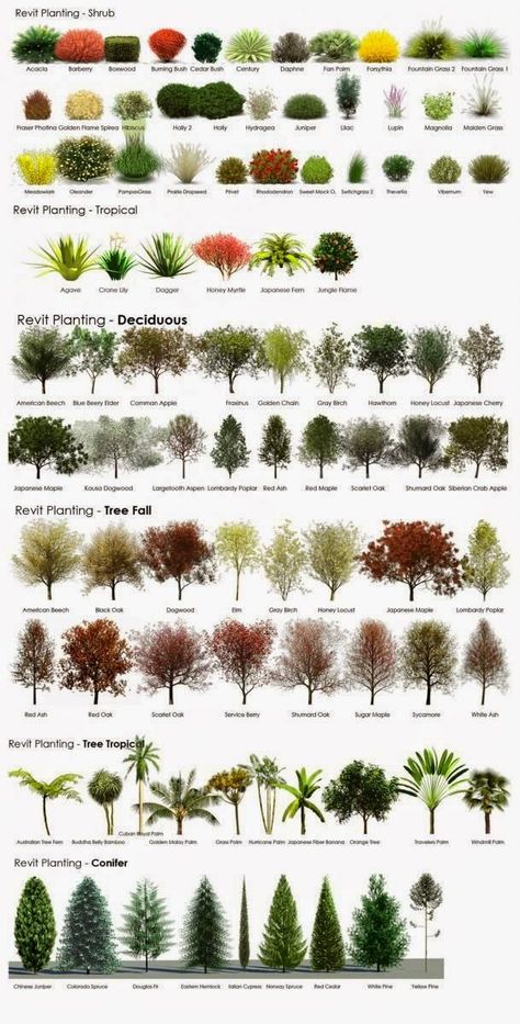 Tips on choosing plants for landscaping ~ color, height, growth, etc...Inspiring insights from contributors, employees, owners, partners, and customers. Garden Design, Landscape Designs, Landscape Design, Driveway, Garten, Landscape, Garten Ideen, Garden, Tuin