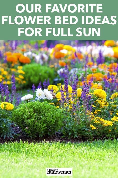 Our Favorite Flower Bed Ideas for Full Sun Decoration, Floral, Summer, Inspiration, Front Flower Bed Ideas Full Sun, Flower Bed Designs, Full Sun Flowers, Flower Bed Decor, Full Sun Plants