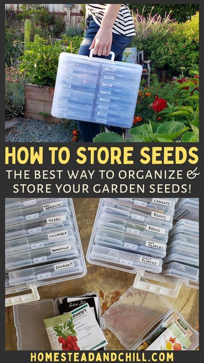 Seed Starting, Outdoor, Diy, Organisation, Seed Saving Storage, Seed Storage, How To Store Seeds, Organize Seeds, Seed Box Storage