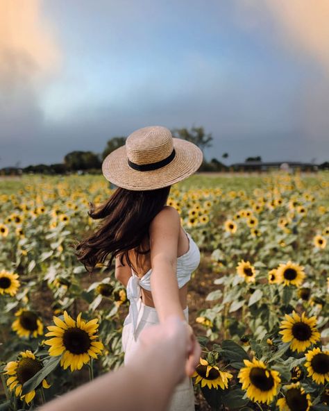 Photography Poses, Sunflower Fields, Fall Photos, Photo, Best Photo Poses, Travel Pictures Poses, Photoshoot, Picture Poses, Cool Photos