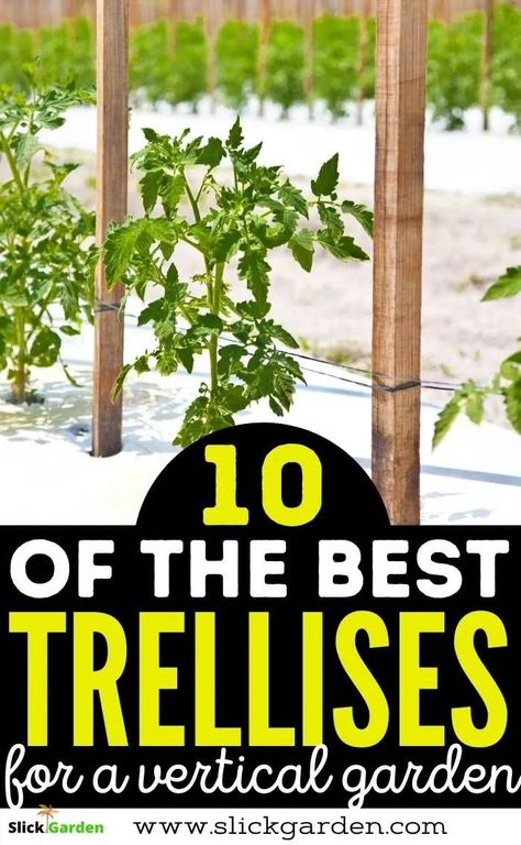 Gardening, Trellis, Ideas, Diy, Vegetable Garden Trellis, Outdoor Trellis, Garden Trellis, Tomato Garden Trellis, Trellis Plants