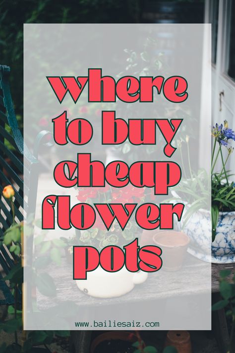 Looking for cheap flower pots? I curated a list of my favorite places to get cheap flower pots. I think we forget that a lot of places we normally shop have cheap flower pots, and maybe a couple places you wouldn't think to look for those extra cheap flower pot bargains. Flowers, Ideas, Inspiration, Flower, Couple, Plant, Extra, Lot, Garden