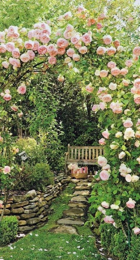 Shaded Garden, Climbing Roses, Gardening, Flower Garden, Flower Garden Design, Beautiful Flowers Garden, Beautiful Gardens, Garden, Romantic Garden