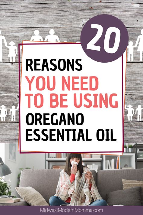 Essential Oils, Essential Oil Blends, Oregano Essential Oil, Oregano Oil Capsules, Oregano Oil Benefits, Oregano Oil, Oil Benefits, Oil Recipes, Oil Uses