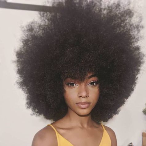 Instagram, Curling, Natural Afro Hairstyles, Afro Hairstyles, Afro Natural, Natural Hair Styles, Afro Puff, Curly Hair Styles, Big Hair Dont Care