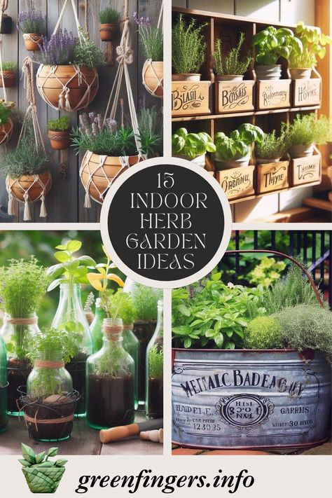 Are you eager to cultivate your own indoor herb garden but don’t have the luxury of a sunny windowsill? Here are 15 great ideas to get your creativity flowing. Home Décor, Terrarium, Layout, Herb Garden Indoor Kitchen, Herb Garden In Kitchen, Outdoor Herb Garden, Small Outdoor Herb Garden Ideas, Herb Garden Planter, Herb Garden Pots
