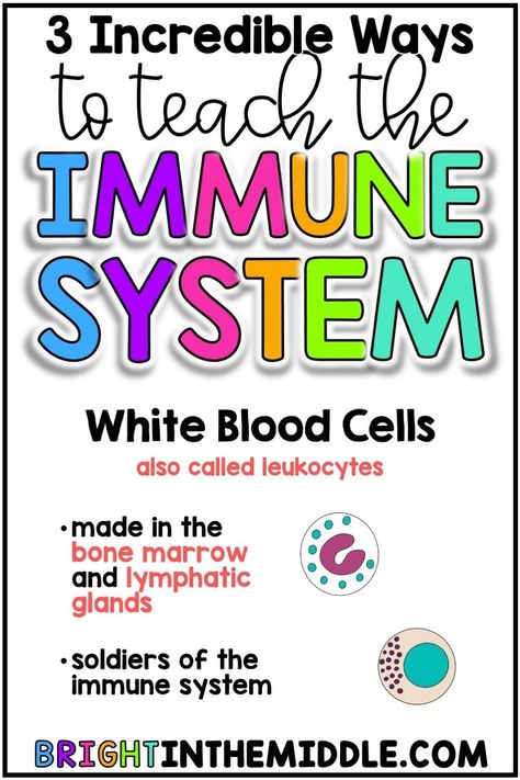 Check out this blog post to learn three incredible ideas to teach your middle school science students about the immune system! #6thgrade #7thgrade #8thgrade Teaching, Learning, Fitness, Immune System, Health Tips, Ideas, Middle School Science, Science Student, Science