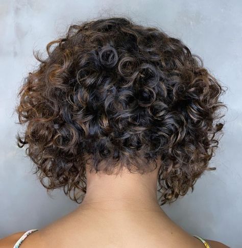 Short in the Back Bob for Curly Hair Curling, Stacked Bob Haircut, Curly Angled Bobs, Short Inverted Bob Haircuts, Bob Haircut Curly, Curly Stacked Bobs, Haircuts For Wavy Hair, Short Curly Bob Haircut, Haircuts For Curly Hair