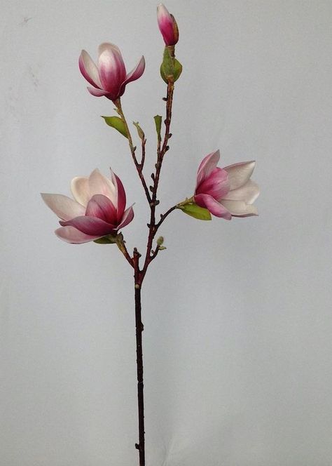 Pink Faux Magnolias and Artificial Spring Branches Floral, Flowers, Flower Arrangements, Flower Branch, Magnolia Flower, Floral Branch, Spring Flowers, Magnolia Branch, Single Flowers