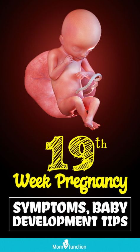 Newborn Care, Baby Development In Womb, Baby Development By Week, Pregnancy Development, Pregnancy Care, Stages Of Baby Development, Baby Development Milestones, Baby Development Chart, Baby Development