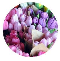 Soft Summer seasonal color palette flower bouqet illustration Pink, Pastel, Floral, Hoa, Beautiful, Bloemen, Bouquet, Pretty Flowers, Gerberas
