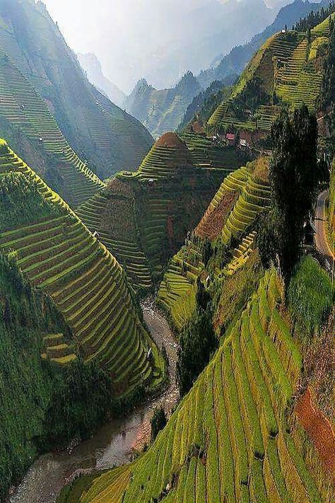 Rice terraces. Valley of the river in Bhutan (Himalaya) Peru, Indonesia, Guilin, Ha Long, Bhutan, Beautiful, Fotos, Mare, Nha Trang