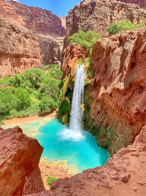 National Parks, Supai Arizona, Havasu Falls, Desert Oasis, Places To See, Arizona, Playa, Scenic, Grand Canyon Az