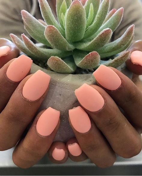 Matte Peach 🍑🌵 Nail Art Designs, Summer Nail Colors, Peach Nails, Peach Colored Nails, Pastel Color Nails, Summer Nail Polish Colors, Nail Colors, Peach Acrylic Nails, Peach Nail Polish