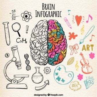 Brain Vectors, Photos and PSD files | Free Download Art, Google, Creative, Vector Free, Ilustrasi, Infographic, Resim, Everyday Science, Brain Poster