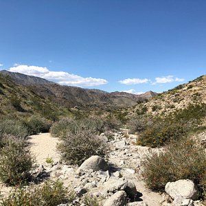 THE 15 BEST Things to Do in Coachella Valley - 2021 (with Photos) - Tripadvisor Coachella, Travel, Outdoor, California Vacation, Places To See, Palm Springs California, Vacation, Tourist Attraction, Coachella Valley