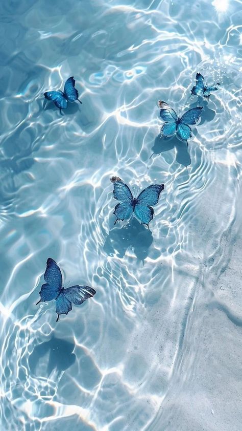 Free download of high-quality iPhone wallpapers dreamy beauty of nature – Bujo Art Shop Iphone, Butterfly Wallpaper Iphone, Beautiful Wallpaper For Phone, Cute Backgrounds Iphone, Wallpaper Iphone Summer, Iphone Wallpaper Sky, Iphone Wallpaper Photos, Blue Wallpaper Iphone, Sky Aesthetic