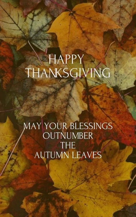 May your blessings outnumber the autumn leaves, happy thanksgiving thanksgiving thanksgiving pictures happy thanksgiving thanksgiving images thanksgiving quotes happy thanksgiving quotes thanksgiving image quotes Thanksgiving, Thanksgiving Blessings, Fall Thanksgiving, Thanksgiving Day, Holidays Thanksgiving, Thanksgiving Wallpaper, Thanksgiving Pictures, Thanksgiving Wishes, Happy Thanksgiving