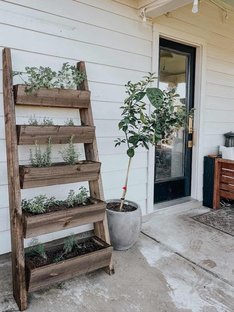 patio with a lemon tree and a leaning herb garden Layout, Gardening, Porch Planter Ideas, Outdoor Garden Planters, Porch Garden, Patio Planters, Ladder Planters Outdoor, Porch Vegetable Garden, Farmhouse Landscaping