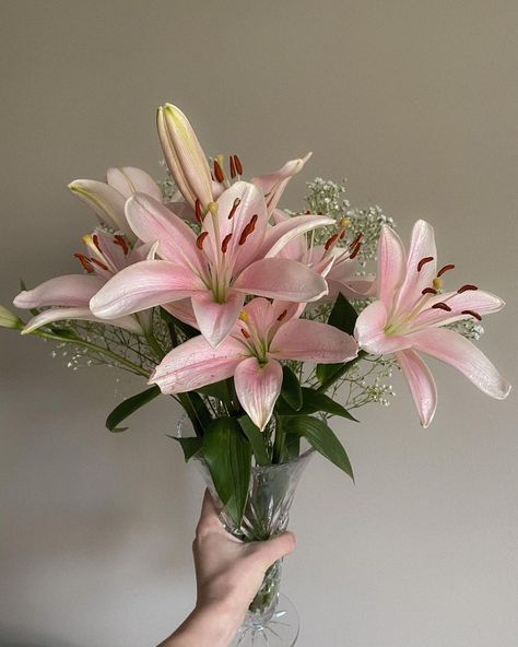 Pink, Floral, Hibiscus, Lily, Lily Bouquet, Lillies, Lily Flower, Bloom, Pink Lily