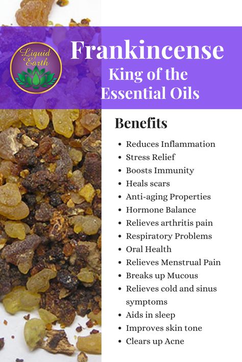 Frankincense is one of the great healing essential oils for your skin. Frankincense soothes and smoothes the skin, clearing up scars, acne and fine lines, we use it in quite a few of our products and love the effects of it.     We use Frankincense in several of our products, our "Fraknincense Facial Oil",  Frankincense & Myrrh Cream and "Shea Body Butter Nourish"  #skincare #beauty #organic #skin #antiaging #skincareproducts #aromatherapy #liquidearth Chakras, Frankincense Essential Oil Benefits, Frankincense Essential Oil Uses, Frankincense Essential Oil, Frankincense Oil Uses, Healing Essential Oils, Benefits Of Frankincense Oil, Essential Oils For Pain, Frankincense Benefits