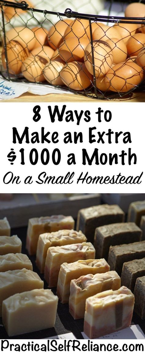 8 Ways to Make an Extra $1000 a Month On a Small Homestead — Practical Self Reliance Homestead Survival, Life Hacks, Gardening, Homesteading Skills, Homesteading Diy, Homesteading, Homestead Living, How To Make Money, Homestead Farm