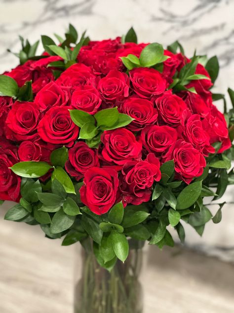 Long stem red roses! Please & thank you here are 2 dozen! Send for a birthday, romantic gestur, anniversary, or for yourself. #redroses #2dozenroses #luxegift Roses, Dozen Red Roses, Dozen Roses, 2 Dozen Roses, Red Roses, Rose, Rose Pictures, Florist, Anniversary