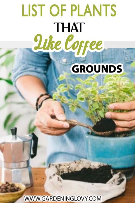 Planting Vegetables, Growing Vegetables, Coffee Grounds Garden, Coffee Grounds For Plants, Plant Benefits, Garden Seeds, Growing Plants, Uses For Coffee Grounds, Garden Coffee
