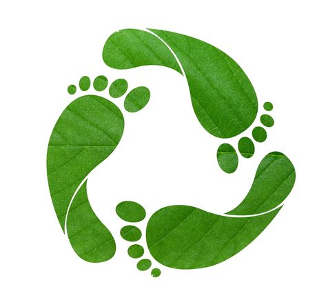 I could start with the typical "save the earth, it is the only we have", which is completely true, but I will start to tell you that we, as humans need to stop acting like the planet is infinite an... Ecology, Recycling, Green Energy, Leaves, Environment, Green Footprints, Green Design, Ecological Footprint, Logo Design