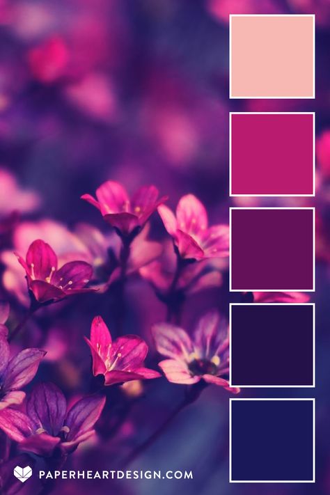 Colour Schemes, Colour Palettes, Color Palette Pink, Color Schemes Colour Palettes, Color Schemes, Color Themes, Color Pallets, Purple Color Palettes, Color Palette