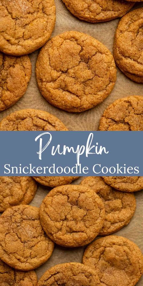 Pumpkin Snickerdoodles are soft and chewy pumpkin spice cookies. These tasty cookies get an extra bump of flavor from brown butter and plenty of pumpkin pie spice. Pie, Thanksgiving, Pumpkin Snickerdoodle Cookie Recipe, Pumpkin Snickerdoodles, Pumpkin Spice Cookies, Pumpkin Spice Cookie Recipe, Snickerdoodle Cookie Recipes, Pumpkin Pie Cookies, Pumpkin Cookie Recipe