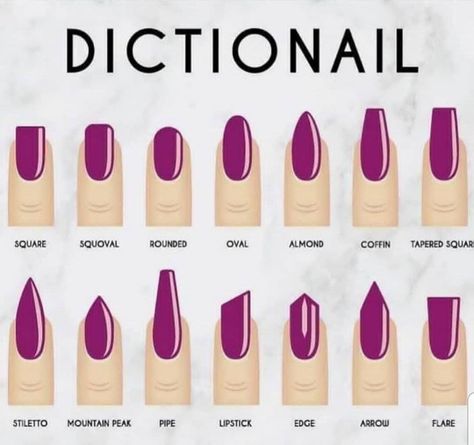 Reddit - coolguides - Dictionail - A guide to nail shapes and their names. Types Of Nails Shapes, Different Nail Shapes, Nails Types, Nail Tip Shapes, Shapes Of Acrylic Nails, Trendy Nails, Stylish Nails, Cute Nails, Short Acrylic Nails Designs