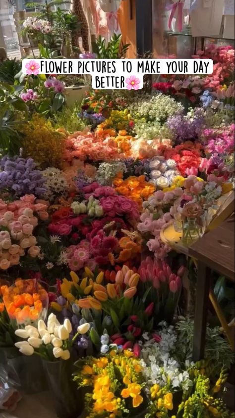 Flowers, Floral, Beautiful, Fotos, Hoa, Pretty Flowers, Beautiful Flowers, Flower Aesthetic, Bloemen