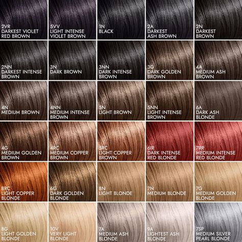 People, Art, Types Of Hair Color, Types Of Brown Hair, Permanent Hair Color, Hair Colorist, Coarse Hair, Human Hair Color, Honey Brown Hair Dye
