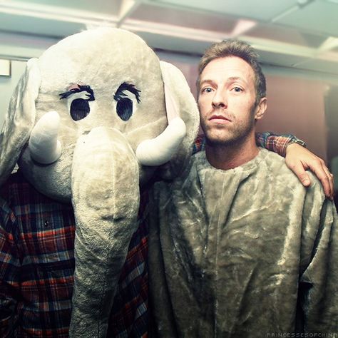 [literally the most perfect picture i've ever encountered. elephants AND coldplay... COLDPLAY AS ELEPHANTS... good gosh :D] Celebrities, Coldplay, Ariana Grande, Imagine Dragons, Jazz, Jonny Buckland, Chris Martin Coldplay, Chris Martin, Chris