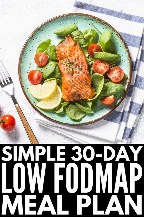 30-Day Low FODMAP Meal Plan for Beginners | If you’re looking for a simple guide to help you get started – and stay motivated – with the Low FODMAP diet, we’ve curated 30 days of breakfast, lunch, dinner, snack, and dessert recipes. With 120 easy Low FODMAP recipes to choose from, there are ideas to suit every palette and dietary need, including gluten free, vegetarian, and vegan recipes. We’ve even thrown in some crockpot & instant pot ideas for added convenience! #lowfodmap #lowfodmaprecipes Nutrition, Healthy Recipes, Diet And Nutrition, Meal Planning, Low Fodmap Diet Recipes, Keto Diet Meal Plan, Diet Meal Plans, Ketogenic Diet Meal Plan, Low Fodmap Diet