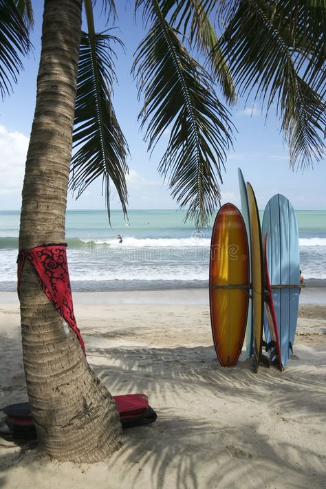 Indonesia, Holiday Places, Ubud, Trips, Destinations, Beach Life, Bali Surf, Beach, Cool Places To Visit