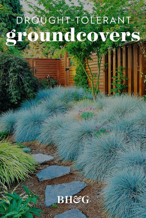 Choosing plants that don't need much water can help you create a low-maintenance landscape. These tough, low-growing perennials will look beautiful (many even bloom) without requiring you to break out the hose or turn on the sprinklers. #frontyard #backyard #landscaping #garden #landscapingideas #bhg Design, Modern, Gras, Tuin, Amazing, Patios, Jardim, Garten, Wallpaper
