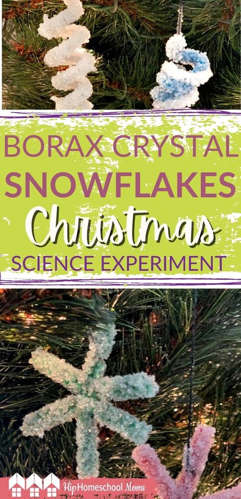 Ideas, Inspiration, Borax Crystal Ornaments, Christmas Science Experiments, Borax Snowflakes, Borax Crafts, Borax Crystals Diy, Borax Crystals, Science Christmas Ornaments