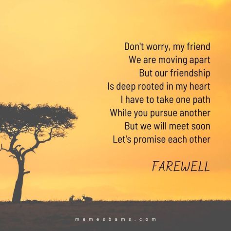 Saying Goodbye To a Friend: 134 Farewell Quotes for Friendship in 2021 Friendship Quotes, Hard To Say Goodbye, Never Say Goodbye, Saying Goodbye, Goodbyes Are Not Forever, Best Quotes, I Say Goodbye, Feeling Sad, Feeling Lonely