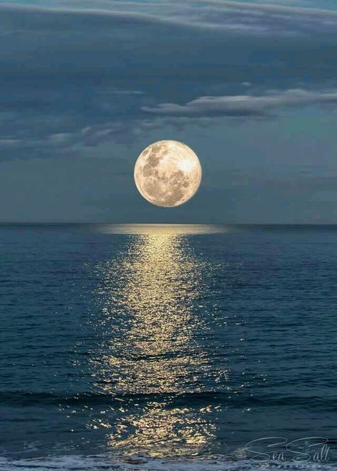 Quando spunta la luna  tacciono le campane  e i sentieri sembrano  impermeabili . Quando spunta la luna  il mare copre la terra  e il cuore diventa  isola nell’i… Resim, Beautiful, Fotos, Moon, Beautiful Moon, Beautiful Pictures, Luna, Fotografie, Full Moon