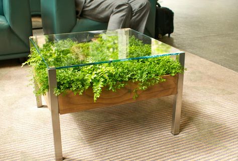 The new Living Table by Habitat Horticulture solves the problem of adding greenery to your home Planters, Glass Top Coffee Table, Green Coffee Tables, Coffee Table Design, Planter Table, Patio Plants, Small Space Gardening, Arredamento, Indoor Garden