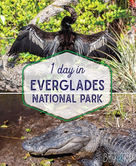 Day Trip, Camping, Florida Keys, Ideas, Key West Florida, Wanderlust, Fort Lauderdale, Everglades National Park Florida, Everglades National Park
