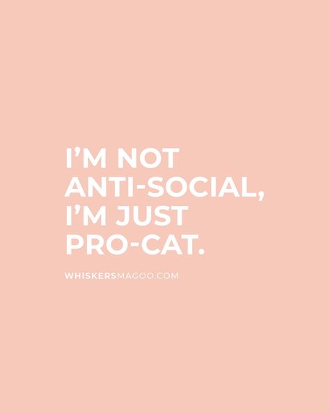 15+ Funny Quotes and Sayings About Cats Every Cat Lover Can Relate To - 'I'm not anti-social, I'm just pro-cat.' Cat Whisperer, Cat Quotes Funny, Cat Quotes, Quip, Anti Social, Cat Theme, Whiskers, Love Story, Cat Lovers