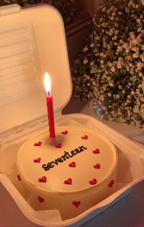 Simple 17 Birthday Cake, Cute Cakes For 18th Birthday, Birthday Cake Ideas 17th Girl, Birthday Aesthetic Cakes, 17tg Birthday Cake, Seventeen Birthday Cake Ideas, Cake Inspo For 14th Birthday, Cake Ideas For 17th Birthday Girl, Cake Ideas For 15th Birthday Girl