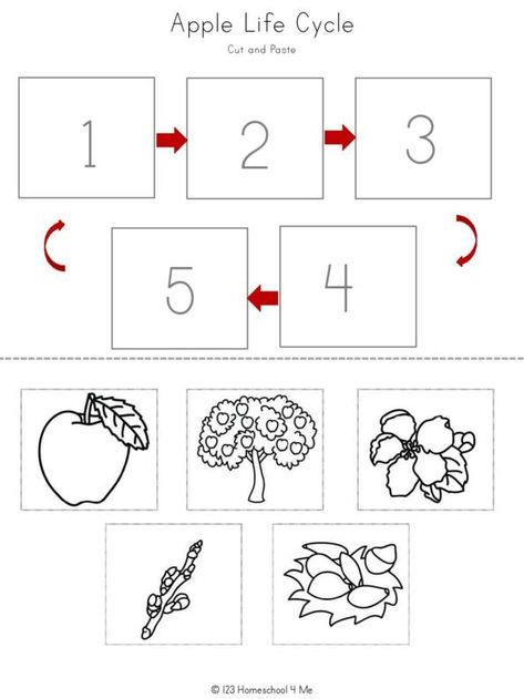 Montessori lesson plans