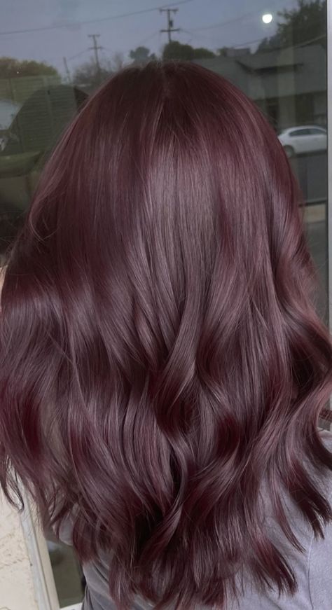 Dark Plum Brown Hair, Brownish Purple Hair, Reddish Purple Hair, Red Violet Hair, Plum Brown Hair, Purple Tinted Hair, Dark Plum Hair, Purple Burgundy Hair Color, Cherry Brown Hair