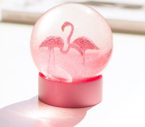 Top 10 Beautiful Pink Flamingo Gift Ideas You Need to Buy Now! Ideas, Kawaii, Retro, Pink, Flamingo Decor, Pink Flamingos, Flamingo, Flamingo Gifts, Pink Bird