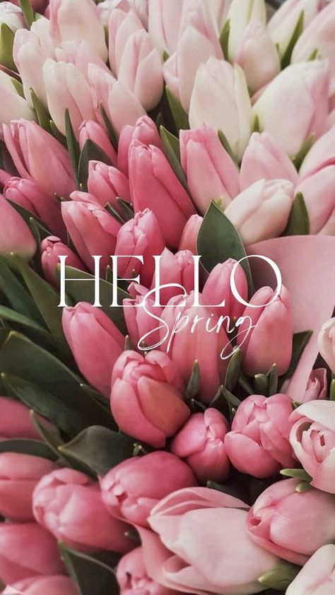 Floral, Fotos, Hoa, Primavera, Hello Spring, Fotografie, Rosas, Flores, Flower Aesthetic
